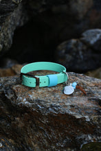 Load image into Gallery viewer, Hunter Small Dog Collar
