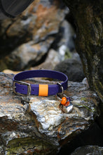 Load image into Gallery viewer, Hunter Small Dog Collar
