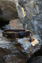 Load image into Gallery viewer, Hunter Large Dog Collar
