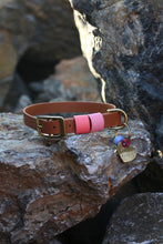 Load image into Gallery viewer, Hunter Small Dog Collar
