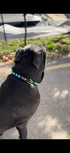 Load image into Gallery viewer, Odin Large Dog Collar
