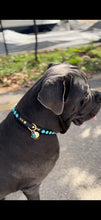 Load image into Gallery viewer, Odin Large Dog Collar
