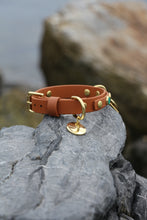 Load image into Gallery viewer, Amore Small Dog Collar
