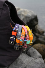 Load image into Gallery viewer, Hunter Small Dog Collar
