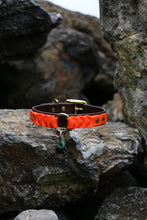 Load image into Gallery viewer, Ranger Large Dog Collar
