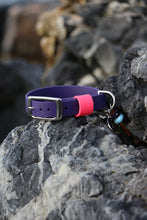 Load image into Gallery viewer, Hunter Small Dog Collar
