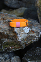 Load image into Gallery viewer, Hunter Small Dog Collar
