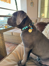 Load image into Gallery viewer, Odin Large Dog Collar
