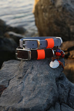 Load image into Gallery viewer, Hunter Large Dog Collar
