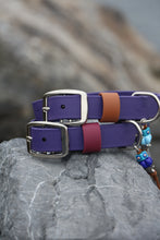 Load image into Gallery viewer, Hunter Large Dog Collar
