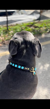 Load image into Gallery viewer, Odin Large Dog Collar
