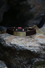 Load image into Gallery viewer, Hunter Small Dog Collar
