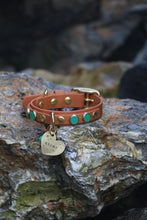 Load image into Gallery viewer, Amore Small Dog Collar
