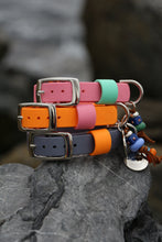 Load image into Gallery viewer, Hunter Small Dog Collar
