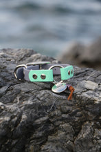 Load image into Gallery viewer, Misty Small Dog Collar
