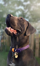 Load image into Gallery viewer, Hunter Large Dog Collar
