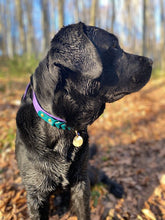 Load image into Gallery viewer, Ranger Large Dog Collar
