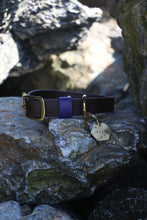 Load image into Gallery viewer, Hunter Large Dog Collar
