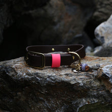 Load image into Gallery viewer, Hunter Large Dog Collar
