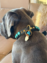 Load image into Gallery viewer, Odin Large Dog Collar
