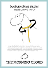 Load image into Gallery viewer, Chase Dog Collar
