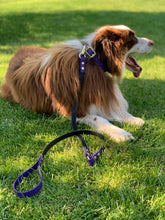 Load image into Gallery viewer, Yankee Dog Leash
