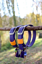 Load image into Gallery viewer, Hunter Small Dog Collar
