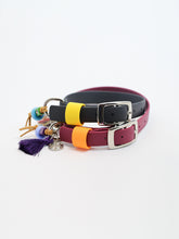 Load image into Gallery viewer, Hunter Small Dog Collar
