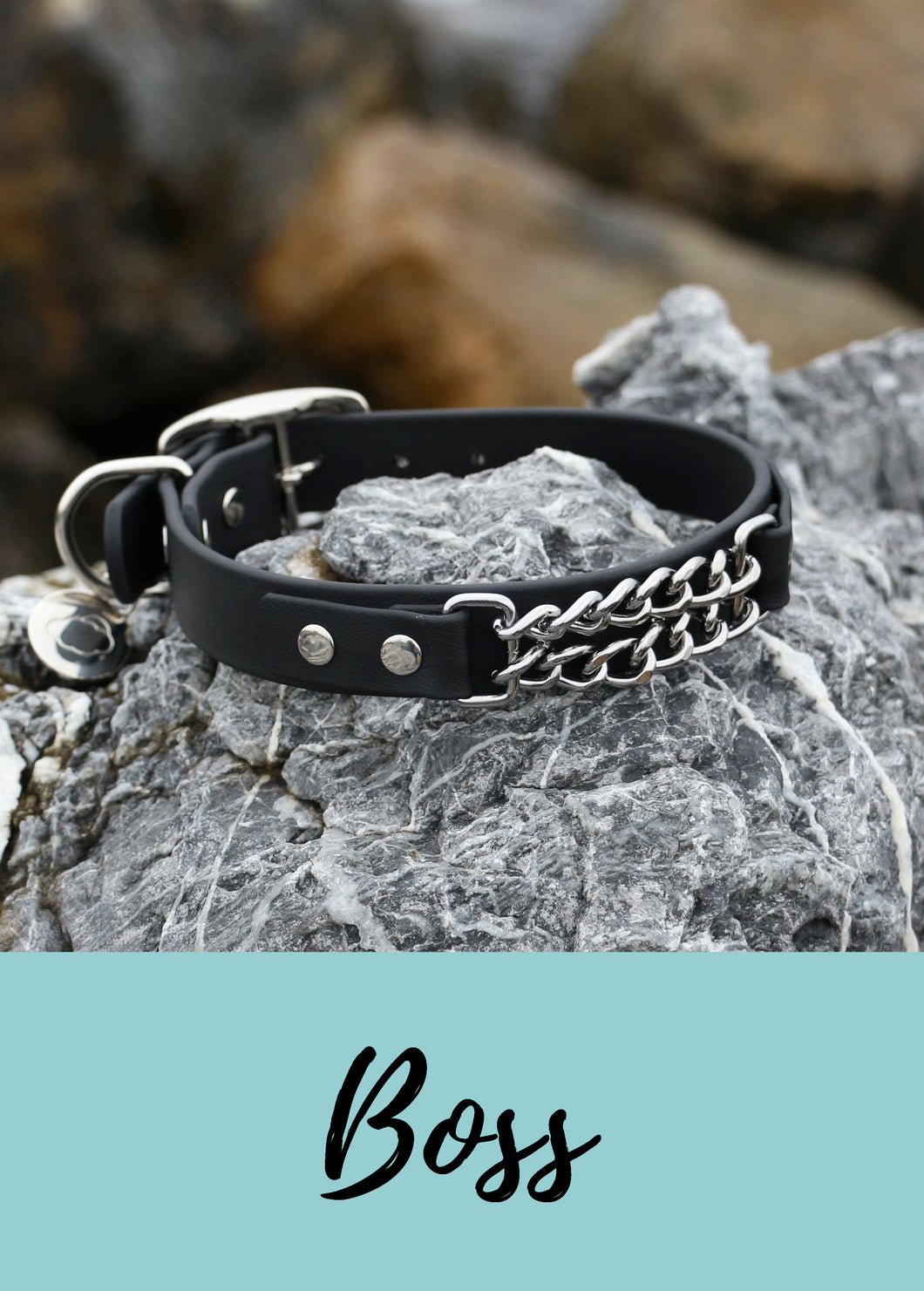 BOSS - Leather dog collar